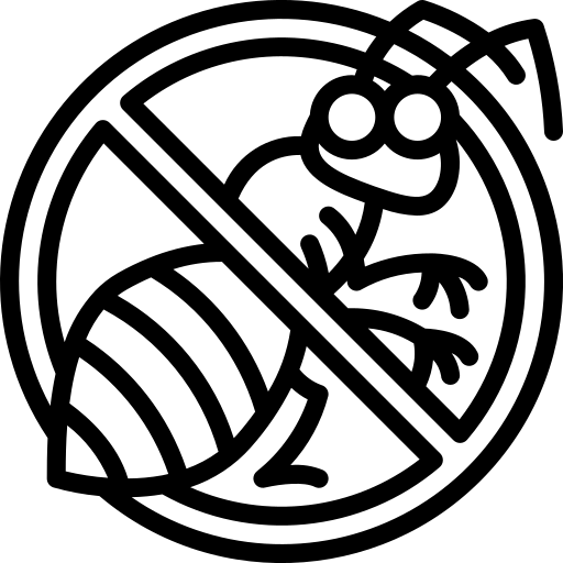 Solution.webp