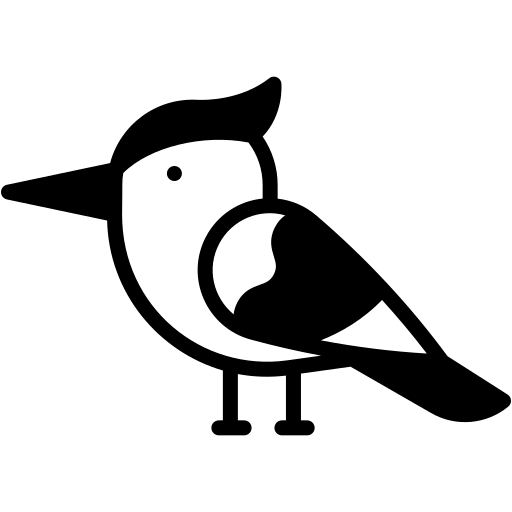 pivert.webp